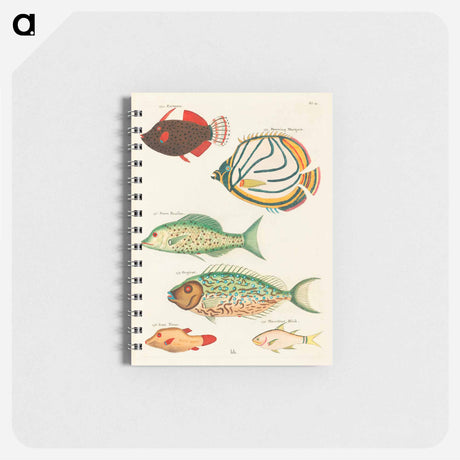 アートメモ帳-Moluccan Fishes
 - ルイ ルナール Memo.