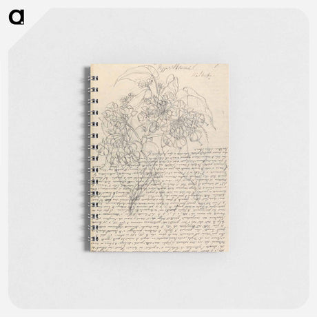 アートメモ帳-Buddleis polystachya
 - ルイージ バルガーニ Memo.