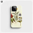 1-69_Maria-Sibylla-Merian_phone