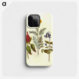 1-69_Maria-Sibylla-Merian_phone