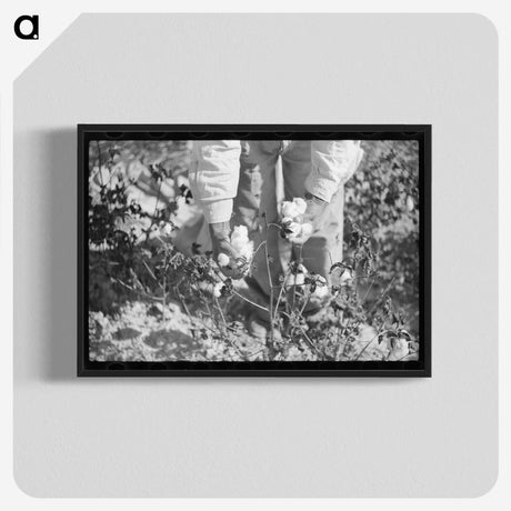 1-69_Marion-Post-Wolcott_blk-crop