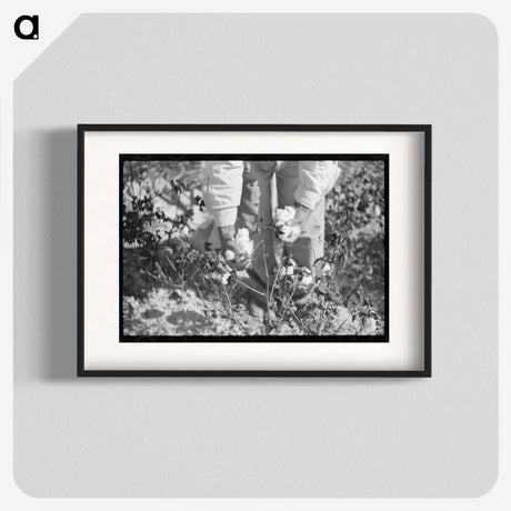 1-69_Marion-Post-Wolcott_blk