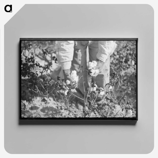 1-69_Marion-Post-Wolcott_canvas