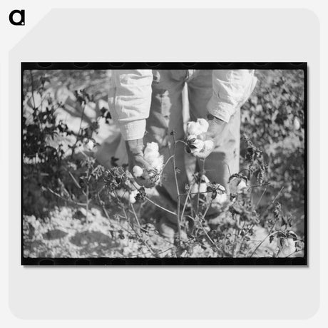 1-69_Marion-Post-Wolcott_picture-crop