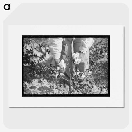1-69_Marion-Post-Wolcott_picture