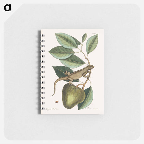 アートメモ帳-Guana
 - マーク ケイツビー Memo.