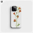 1-69_Mary-Vaux-Walcott_phone