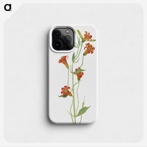 1-69_Mary-Vaux-Walcott_phone
