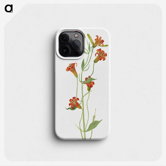 1-69_Mary-Vaux-Walcott_phone
