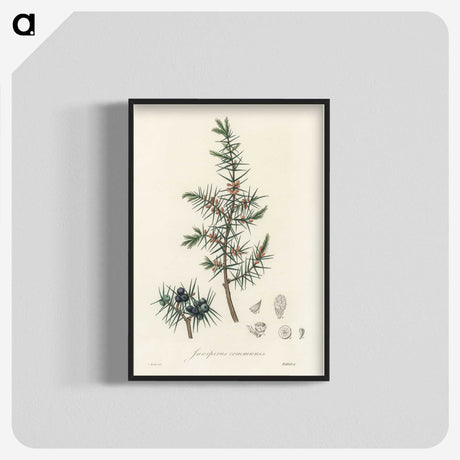 1-69_Medical-Botany_blk-crop