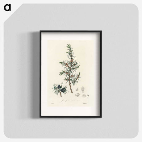 1-69_Medical-Botany_blk