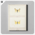 1-69_Moths-and-Butterflies-of-the-United-States_canvas