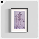 アートポスター-Bone Structure Illustration
 - 国立医学図書館 Poster.