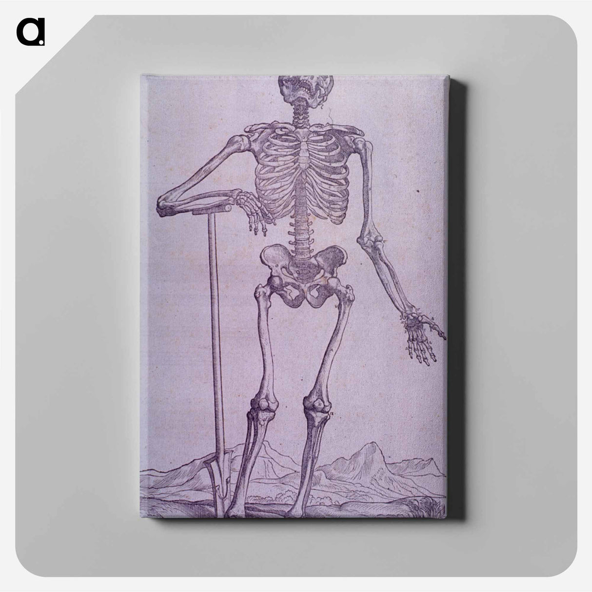 アートパネル-Bone Structure Illustration
 - 国立医学図書館 Canvas.