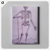 アートパネル-Bone Structure Illustration
 - 国立医学図書館 Canvas.