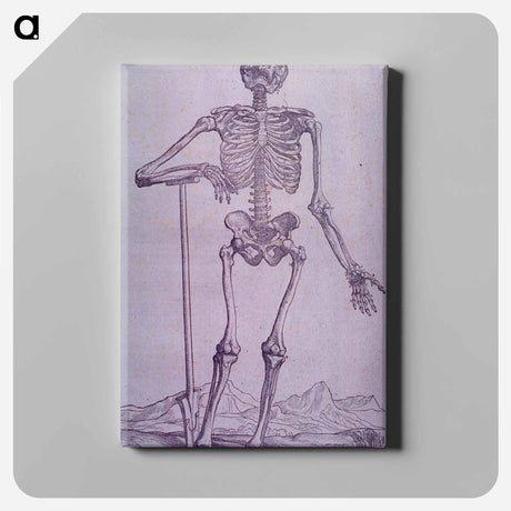 アートパネル-Bone Structure Illustration
 - 国立医学図書館 Canvas.