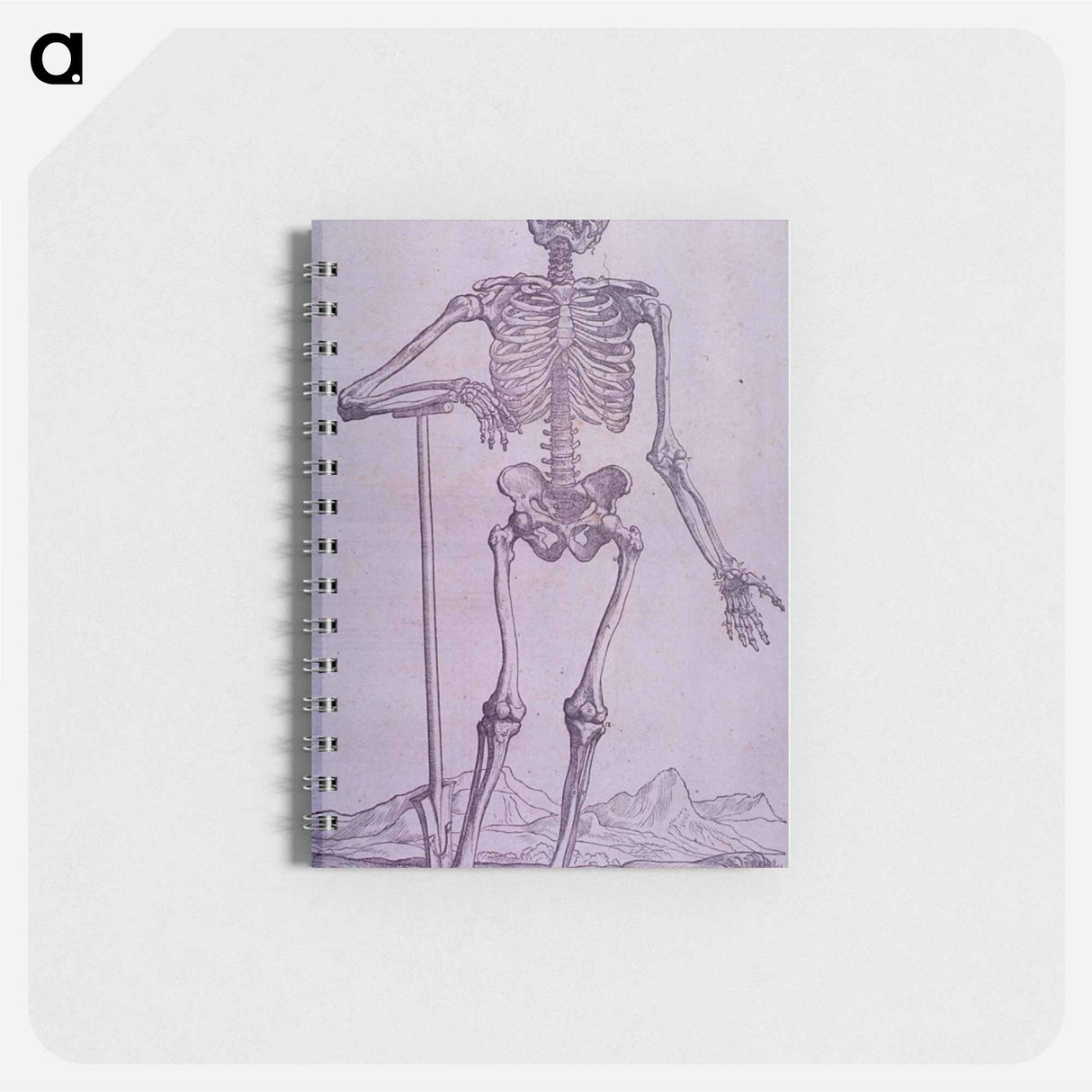アートメモ帳-Bone Structure Illustration
 - 国立医学図書館 Memo.