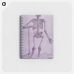 アートメモ帳-Bone Structure Illustration
 - 国立医学図書館 Memo.