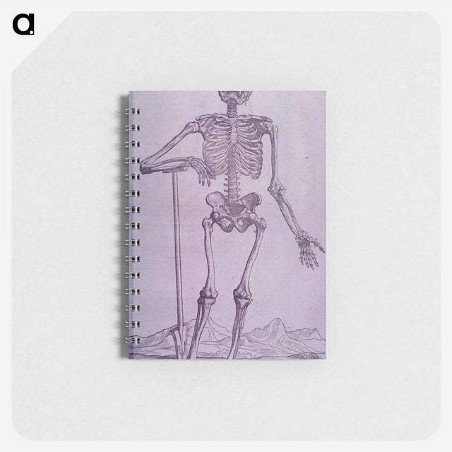 アートメモ帳-Bone Structure Illustration
 - 国立医学図書館 Memo.