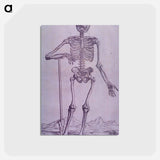 アートポストカード-Bone Structure Illustration
 - 国立医学図書館 Postcard.
