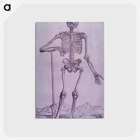 アートポストカード-Bone Structure Illustration
 - 国立医学図書館 Postcard.
