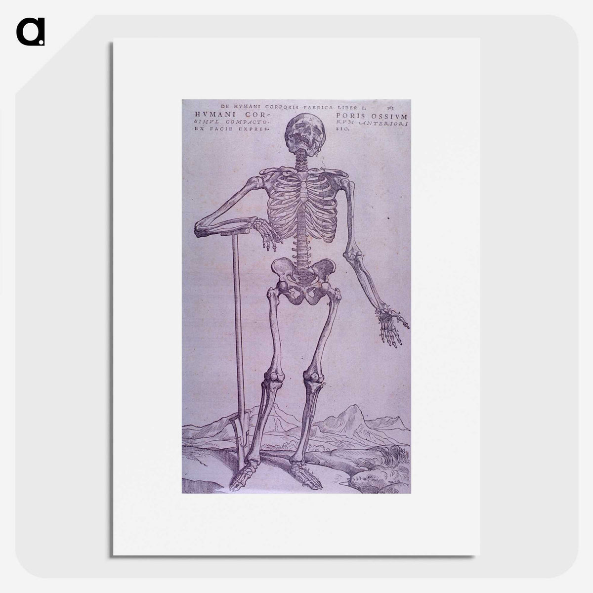 1-69_National-Library-of-Medicine_picture