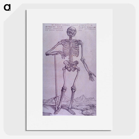1-69_National-Library-of-Medicine_picture