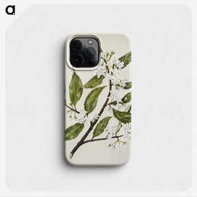 1-69_Native-Flowering-Plants-of-New-Zealand_phone