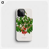 1-69_Nederlandsche-Flora-en-Pomona_phone