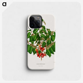 1-69_Nederlandsche-Flora-en-Pomona_phone