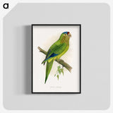 1-69_Parrots-in-Captivity_blk-crop