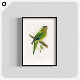 1-69_Parrots-in-Captivity_blk