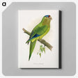 1-69_Parrots-in-Captivity_canvas