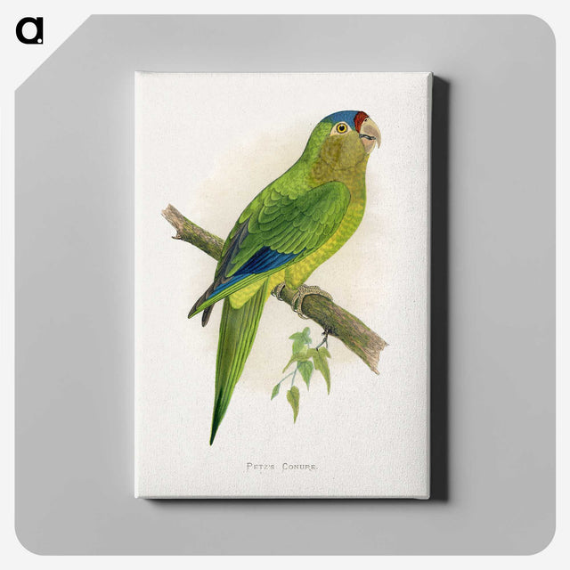 1-69_Parrots-in-Captivity_canvas