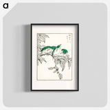 アートポスター-Japanese White-eye and Osmanthus Fragrans
 - 鳥類図鑑 Poster.