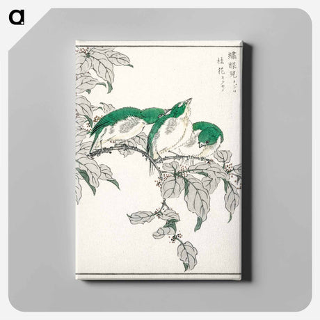 アートパネル-Japanese White-eye and Osmanthus Fragrans
 - 鳥類図鑑 Canvas.