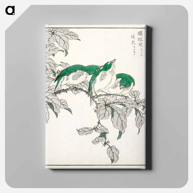 アートパネル-Japanese White-eye and Osmanthus Fragrans
 - 鳥類図鑑 Canvas.