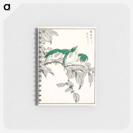 アートメモ帳-Japanese White-eye and Osmanthus Fragrans
 - 鳥類図鑑 Memo.