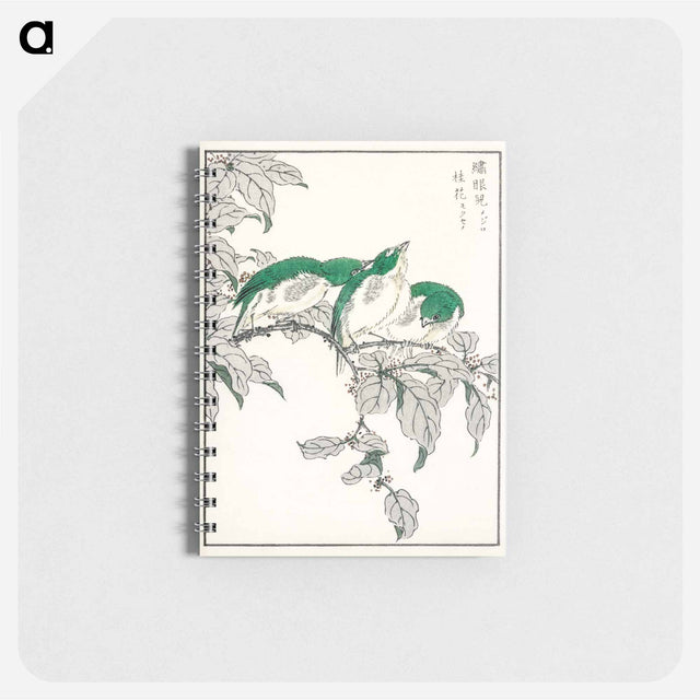 アートメモ帳-Japanese White-eye and Osmanthus Fragrans
 - 鳥類図鑑 Memo.