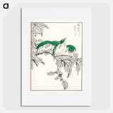 アートポスター-Japanese White-eye and Osmanthus Fragrans
 - 鳥類図鑑 Poster.