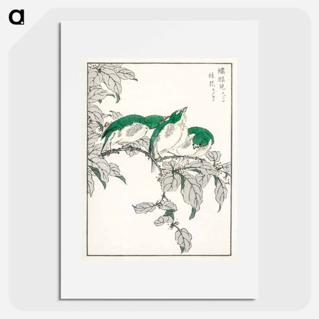 アートポスター-Japanese White-eye and Osmanthus Fragrans
 - 鳥類図鑑 Poster.