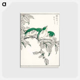 アートポストカード-Japanese White-eye and Osmanthus Fragrans
 - 鳥類図鑑 Postcard.