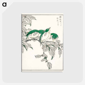 アートポストカード-Japanese White-eye and Osmanthus Fragrans
 - 鳥類図鑑 Postcard.