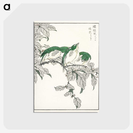 1-69_Pictorial-Monograph-of-Birds_postcard