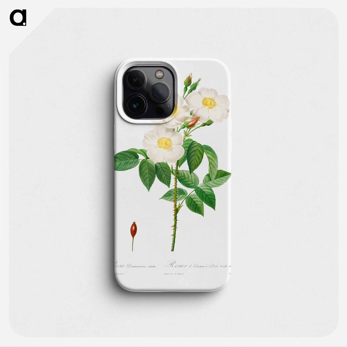 Rosa Damascena, Subalba - Pierre Joseph Redouté Phone Case.