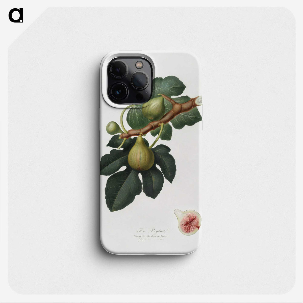 1-69_Pomona-Italiana_phone