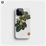 1-69_Pomona-Italiana_phone