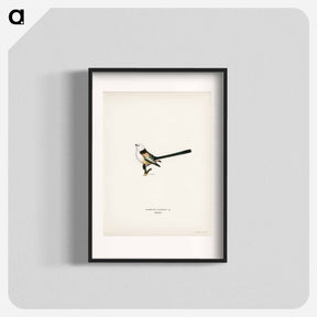 アートポスター-Long-tailed Tit
 - スヴェンスカ フォグラル Poster.