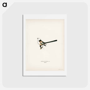 アートポストカード-Long-tailed Tit
 - スヴェンスカ フォグラル Postcard.