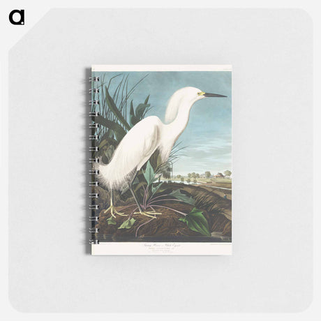アートメモ帳-Snowy Heron, or White Egret from Birds of America
 - アメリカの鳥たち Memo.